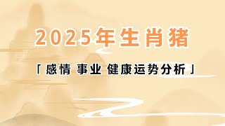 2025年生肖属猪的人感情事业健康运势分析 属猪 生肖猪 运势 2025年 [upl. by Ahtar948]