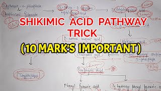 Shikimic acid pathway trick  Pharma lectures [upl. by Sela]