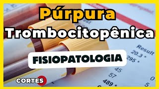 Distúrbio na hemostasia primária  Púrpura Trombocitopênica  Patologia 2024 [upl. by Anitsyrc]