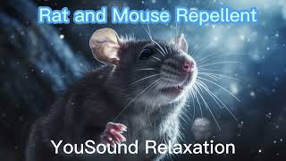 Rat amp Mouse Repellent Sound Very High Frequency  Ultrasonic  Wall Penetration  4 Hour  Anti Mice [upl. by Manus]