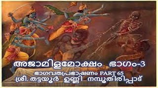 Thattayoor Unni Namboothiripad  Bhagavatha Sapthaham Malayalam  Part 65 [upl. by Amanda]