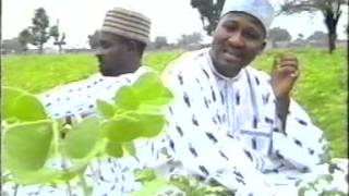 Fati  Hausa Movie Song [upl. by Eedoj485]