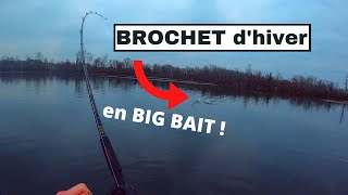 Pêche du BROCHET en HIVER au BIG BAIT [upl. by Japha]