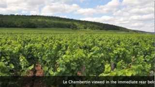 UNESCO SITE WINE From BURGUNDY  FAMOUS Grands Crus of GevreyChambertin [upl. by Almeeta]