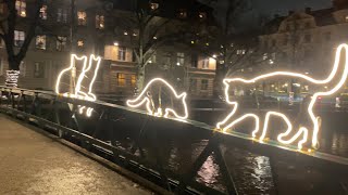 Sweden Walks Uppsala Relaxing city walk along the river and calm streets with festive lights [upl. by Tuhn953]