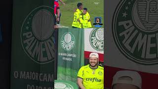 SÓ ALGUNS VÃO ENTENDER ESSE SENTIMENTO DO RONY rony ronyrustico palmeiras libertadores2024 [upl. by Elberta33]