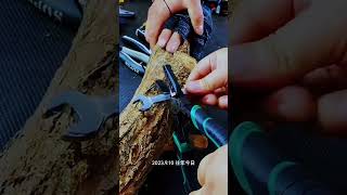 Part 4 Electrician Knowledge Life Good Materials and Quality Home Works Pure original sound shot [upl. by Solhcin]