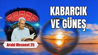 Prof Dr Şadi Eren  Mesnevi Dersleri 25  Kabarcık ve Güneş [upl. by Amberly490]