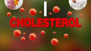 The Truth About High Cholesterol and Why It Will Never Kill You [upl. by Cini]