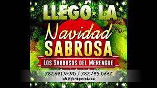 Los Sabrosos del Merengue  Navidad Sabrosa [upl. by Brandi885]