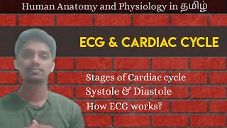 11 ECG and Cardiac Cycle in தமிழ் [upl. by Latta]