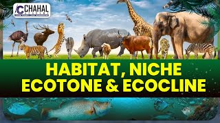 Difference Between Habitat Niche Ecotone amp Ecocline for IASUPSC CSE Environment Simplified [upl. by Elwyn431]