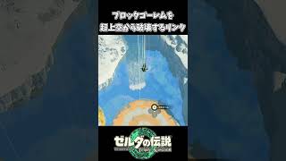 【ティアキン】ブロックゴーレムを超上空から破壊するリンク【ゼルダの伝説 ティアーズ オブ ザ キングダム】 [upl. by Peace612]