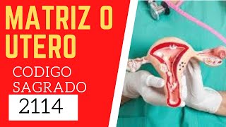 🙏 Código Sagrado 2114 la salud de la MATRIZ O UTERO 🙏 [upl. by Assel]