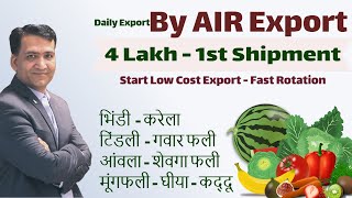 सिर्फ 4 Lakh By Air Export 1st Export Start Export Business Low Investment With High Profit Margin [upl. by Georges]