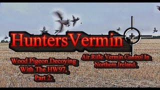 Air Rifle Hunting Wood Pigeon Decoying with the HW97 Part 2 2012 [upl. by Nytsirt]