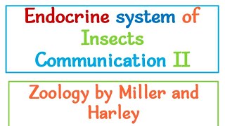 Endocrine System in insects [upl. by Hurd]