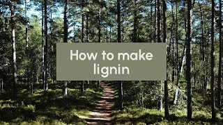 How to make lignin [upl. by Enalahs336]