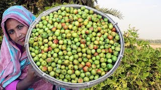 Kuler Achar Recipe  Homemade Plum Pickle Cooking  Bengali Tok Jhal Misti Boroi Achar Recipe [upl. by Nylidam]