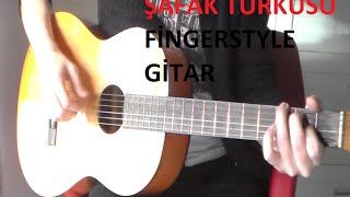 Ahmet Kaya  Şafak TürküsüFingerstyle [upl. by Abixah398]