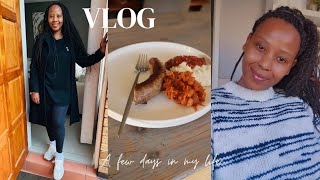 VlogDinnerVisiting a friendAnd MoreLife in my 40sSouth African Youtuber [upl. by Akimyt]