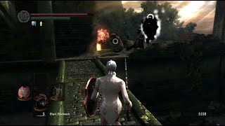 1 Dark Souls Enemy amp Item Randomizer Playthrough  No Commentary [upl. by Islehc]