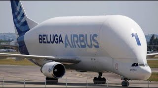 Megaestructuras Airbus Beluga XL 1080p [upl. by Naraa]