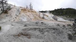 Gorace Zrodla Mamucie  Yellowstone USA  052017 [upl. by Carmine]