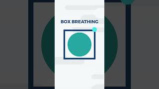 Box Breathing 4444  Paced Breathing  Dialectical Behavioral Therapy DBT  Distress Tolerance [upl. by Mather]