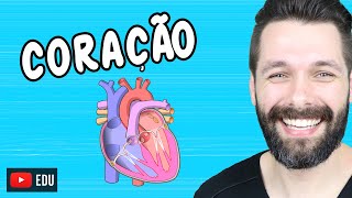 ANATOMIA DO CORAÇÃO  Fisiologia Cardíaca  Biologia com Samuel Cunha [upl. by Elleirua]