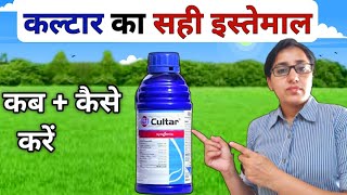 अधिक उत्पादन के लिए कल्टार का सही इस्तेमाल  Cultar syngenta  Paclobutrazol 23 SC  Paclobutrazol [upl. by Nnelg403]