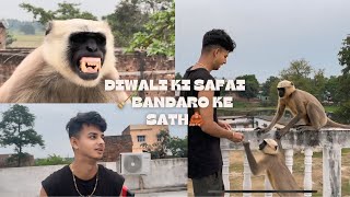 🪔DIWALI KI SAFAI🧹 AUR 🐒BANDARO🦍KE SATH MASTI😜 [upl. by Christye]