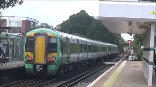 Trains at Polegate Station 25th August 2024 [upl. by Ihcur]