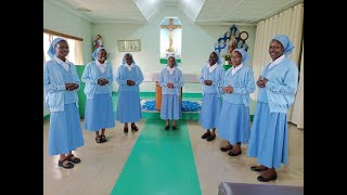 MISSIONARY CONGREGATION OF THE EVANGELIZING SISTERS OF MARYFIRST PROFESSION CELEBRATION NAKURU [upl. by Lais791]