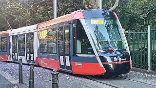 Sydney Lightrail transport  NSW Australia [upl. by Mohsen591]