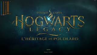 hogwarts legacy fsr 3 mod frame gen working with last game update dont enable raytacing with amd [upl. by Ahsiyk317]