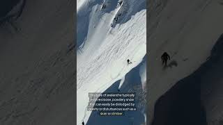 Loose Snow Avalanches Explained What You Need to Know for Safety [upl. by Adnek]