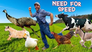 Whos the Fastest Animal on the Farm Educational Farm Video For Kids [upl. by Valenta]