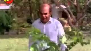 Pappayude Swantham Appoos  Malayalam Movie  Comedy Scene  Sankaradi [upl. by Allicerp625]