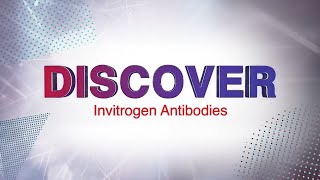 Discover Invitrogen Antibodies and Choose Quality with Confidence [upl. by Assadah880]