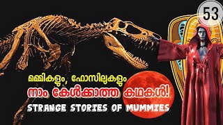 Strange Stories of Mummies amp Fossils  ചില വിചിത്ര മമ്മി വിശേഷങ്ങൾ  Julius Manuel  HisStories [upl. by Millda]