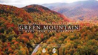 Watch 10MINS of PEAK Fall Foliage in Vermonts Green Mountain National Forest [upl. by Elbart902]