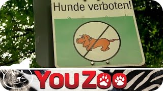 Die Hundepolizei │YouZoo [upl. by Khalil]