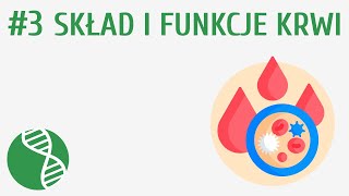 Skład i funkcje krwi 3  Krążenie [upl. by Ekaj]