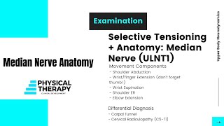 Neurodynamics of Upper Limb [upl. by Urbanus]