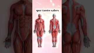 Planos anatómicos anatomia planos salud medicina [upl. by Nylqcaj852]