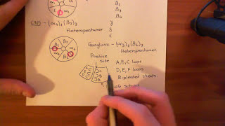 The Ligand Binding Domain of Nicotinic Acetylcholine Receptors Part 2 [upl. by Everrs201]