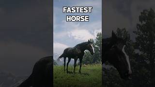 999 Doesnt know this  FASTEST Horse RDR2 [upl. by Mechelle]