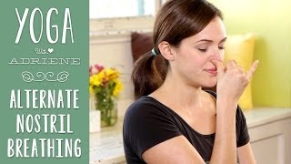 Yoga Breathing  Alternate Nostril Breathing [upl. by Holder]