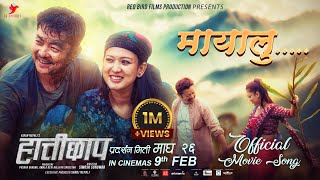 Mayalu  HATTICHHAP Movie Song  Dayahang Rai Upasana Singh Thakuri  Pratap Das Mamta Gurung [upl. by Kcerb]